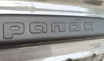 FIAT PANDA 1.0 70CV FIREFLY HYBRID
