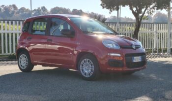 FIAT PANDA 1.0 FIREFLY 70CV S&S HYBRID KM0