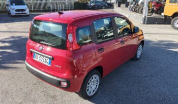 FIAT PANDA 1.0 FIREFLY 70CV S&S HYBRID KM0