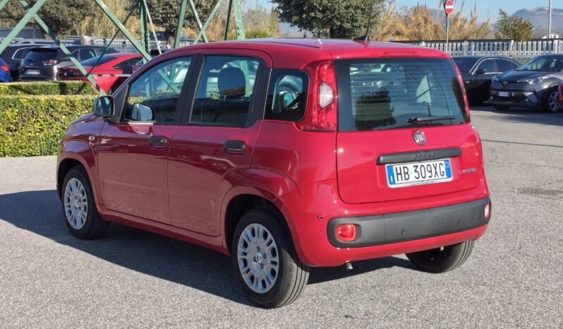 FIAT PANDA 1.0 FIREFLY 70CV S&S HYBRID KM0