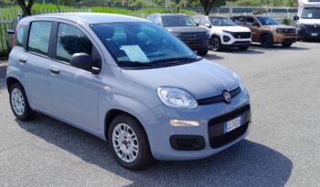 FIAT PANDA 1.0 70 CV HYBRID