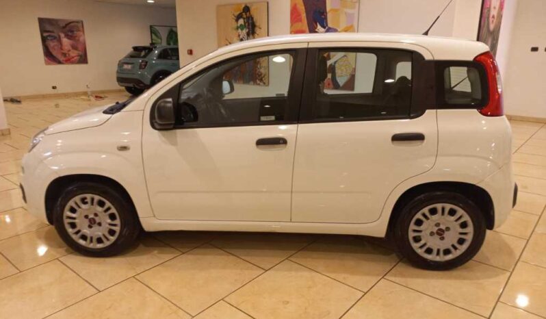 FIAT PANDA 1.2 69 CV GPL EASY